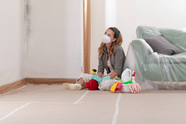 Reliable Mold Remediation contractor in Englishtown, NJ by Car Mold Remediation